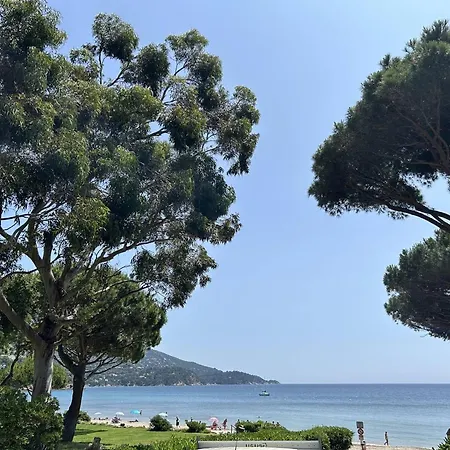 Avec Mezzanine 6 Pers, Piscine, Parking Privé - Fr-1-251-868 Le Lavandou